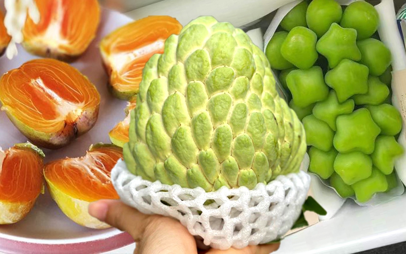 5 thức quả nên ăn nhiều trong mùa thu hanh khô