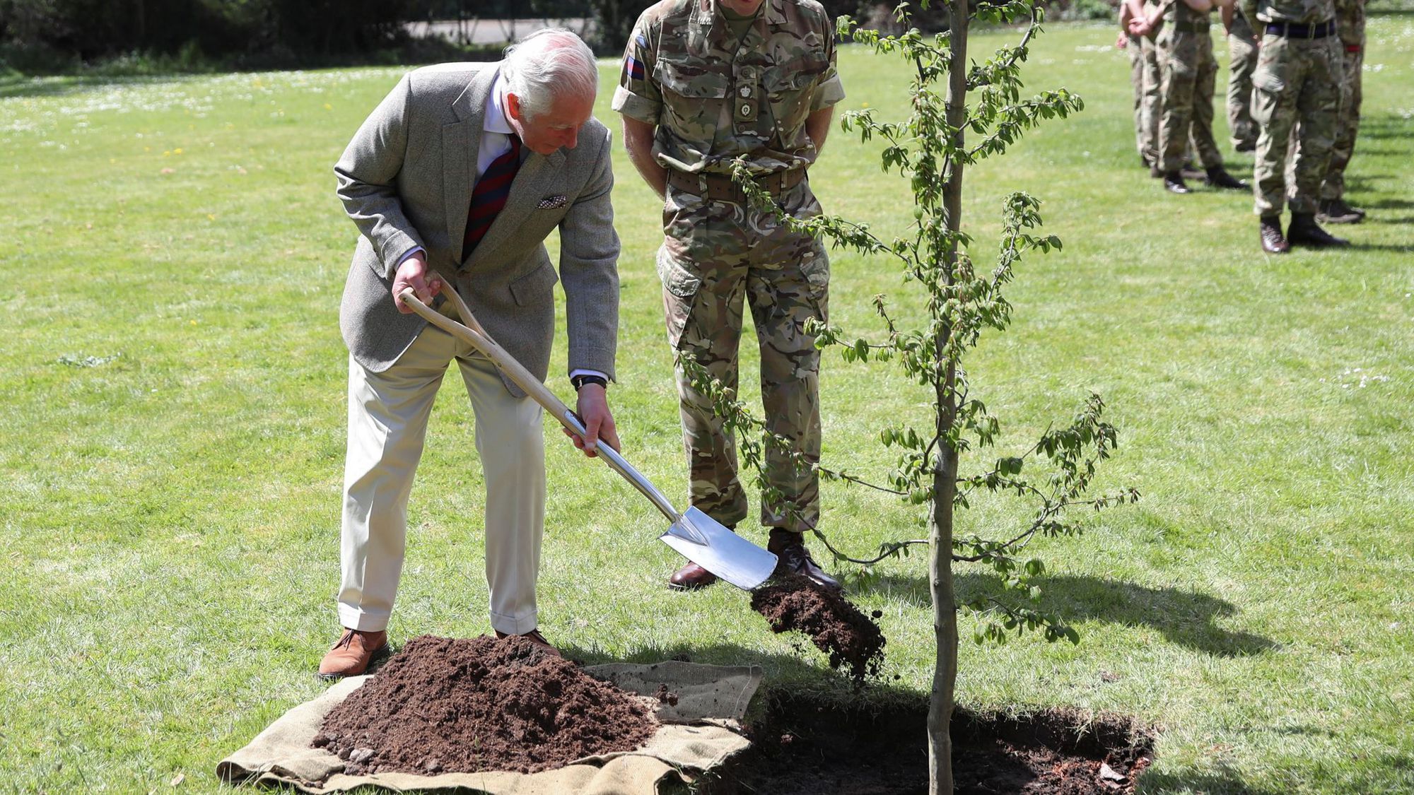 Đài tưởng niệm Nữ hoàng Elizabeth II lớn nhất sẽ 'bén rễ' vào mùa đông - Ảnh 2.