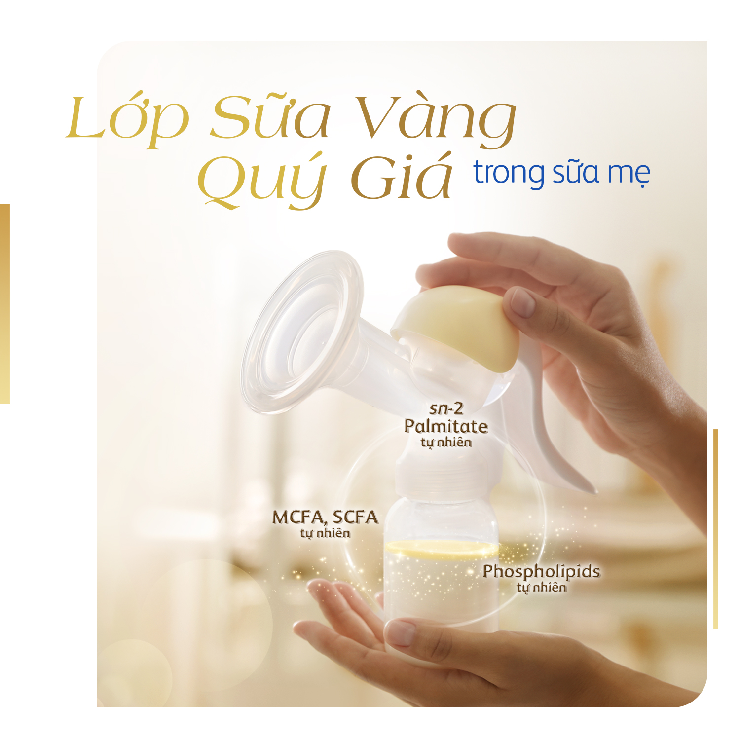 Friso Prestige với công thức dinh dưỡng từ “Lớp sữa vàng tinh túy” giúp bé tăng cường miễn dịch - Ảnh 2.