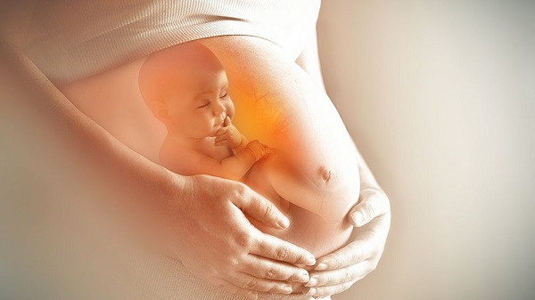 Quá trình phát triển các giác quan của thai nhi và những việc mẹ bầu nên làm - Ảnh 1.