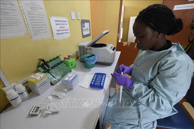 Nigeria: 171 người tử vong vì bệnh xuất huyết cấp tính do virus - Ảnh 1.