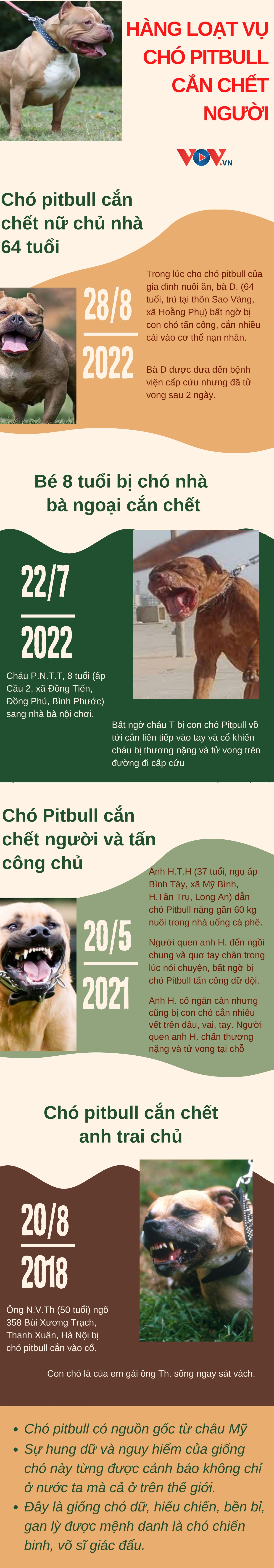 Hàng loạt vụ chó pitbull tấn công, cắn chết người kinh hoàng - Ảnh 1.