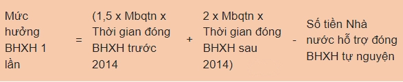 Muốn rút BHXH tự nguyện 1 lần cần phải làm gì? - Ảnh 5.