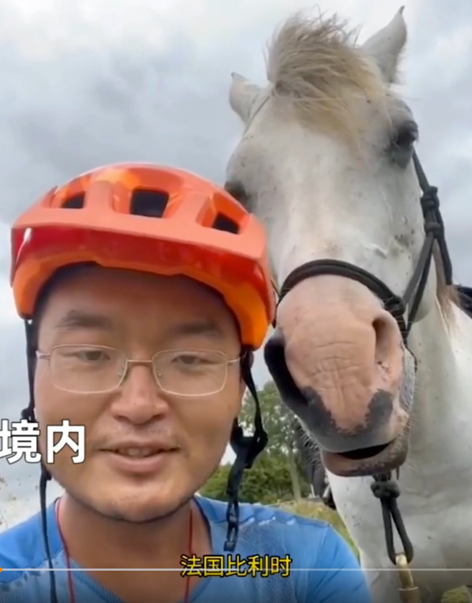 Tranh cãi cưỡi ngựa từ châu Âu về Trung Quốc bị tố ngược đãi động vật - Ảnh 3.