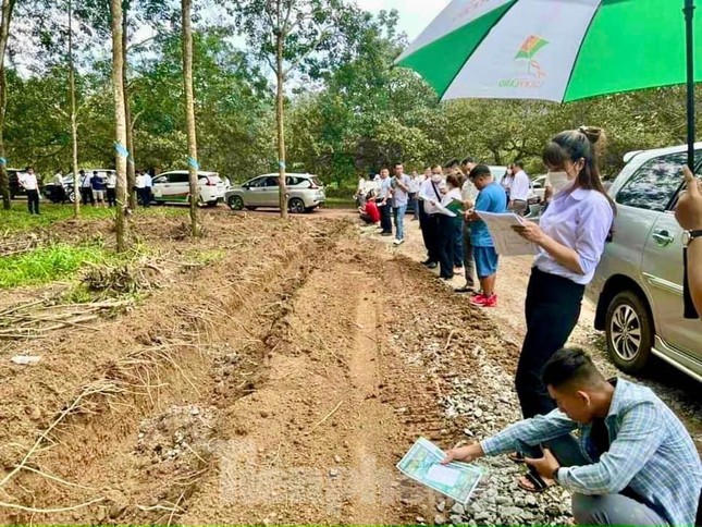 Lại xuất hiện 'chiêu trò' gây sốt đất ở Bình Phước - Ảnh 1.