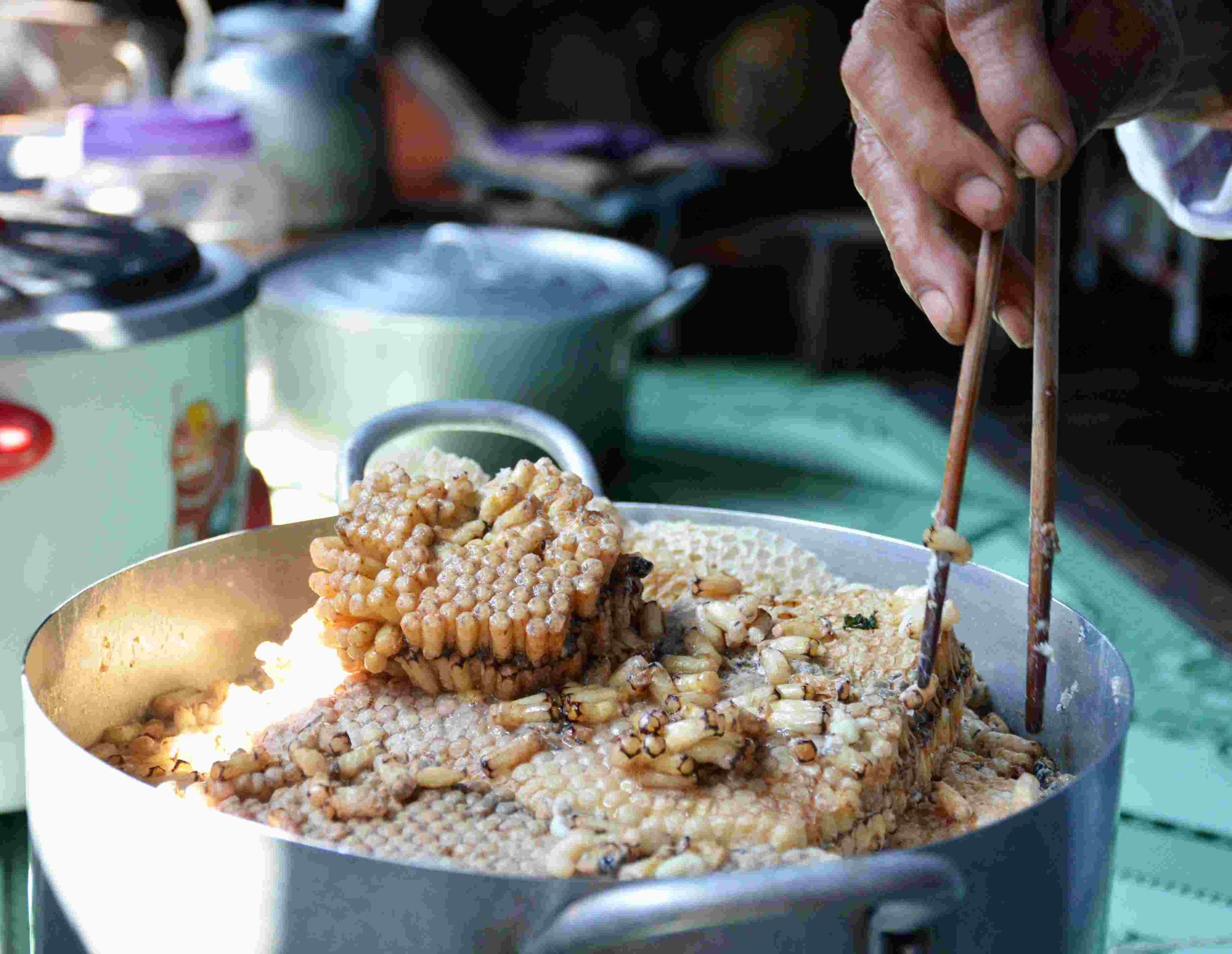 NHỘNG ONG RỪNG, MẬT NGỌT: Khám phá hình ảnh nhộng ong rừng và mật ngọt trên đất nước Việt Nam sẽ khiến bạn ngất ngây bởi sự tuyệt vời và độc đáo của chúng. Hãy tìm hiểu về sự quý giá của mật ong với sức khỏe của con người qua ảnh của nhộng ong rừng.