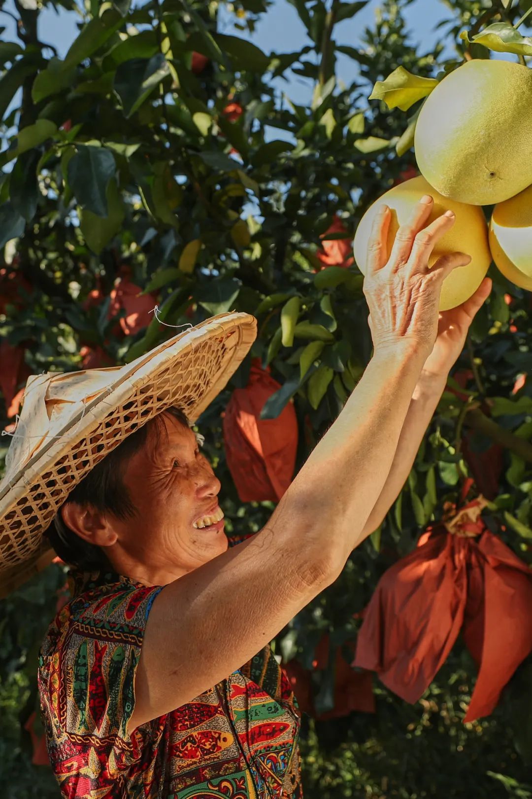 Chùm ảnh ấn tượng: Trung Quốc bước vào mùa thu hoạch thu - Ảnh 15.