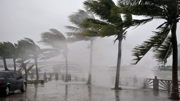Tại sao bão nhiệt đới ở Châu Á được đặt tên và có ý nghĩa động thực vật? - Ảnh 2.