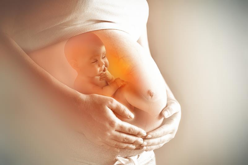 “Chìa khóa vàng” để tăng cường miễn dịch, giúp con phát triển trí não tốt nhất ngay từ trong bụng mẹ - Ảnh 1. “Chìa khóa vàng” để tăng cường miễn dịch, giúp con phát triển trí não tốt nhất ngay từ trong bụng mẹ - Ảnh 1.