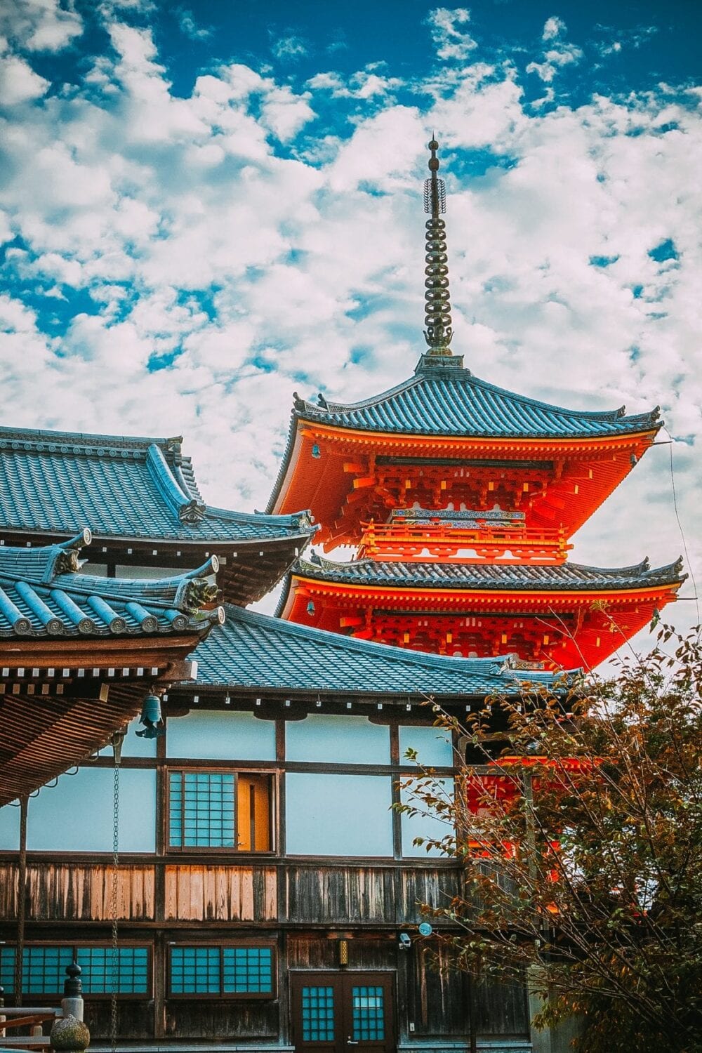 Kyoto rất mong đón du khách trở lại, nhưng &quot;thủ thỉ&quot; những yêu cầu đặc biệt - Ảnh 3.