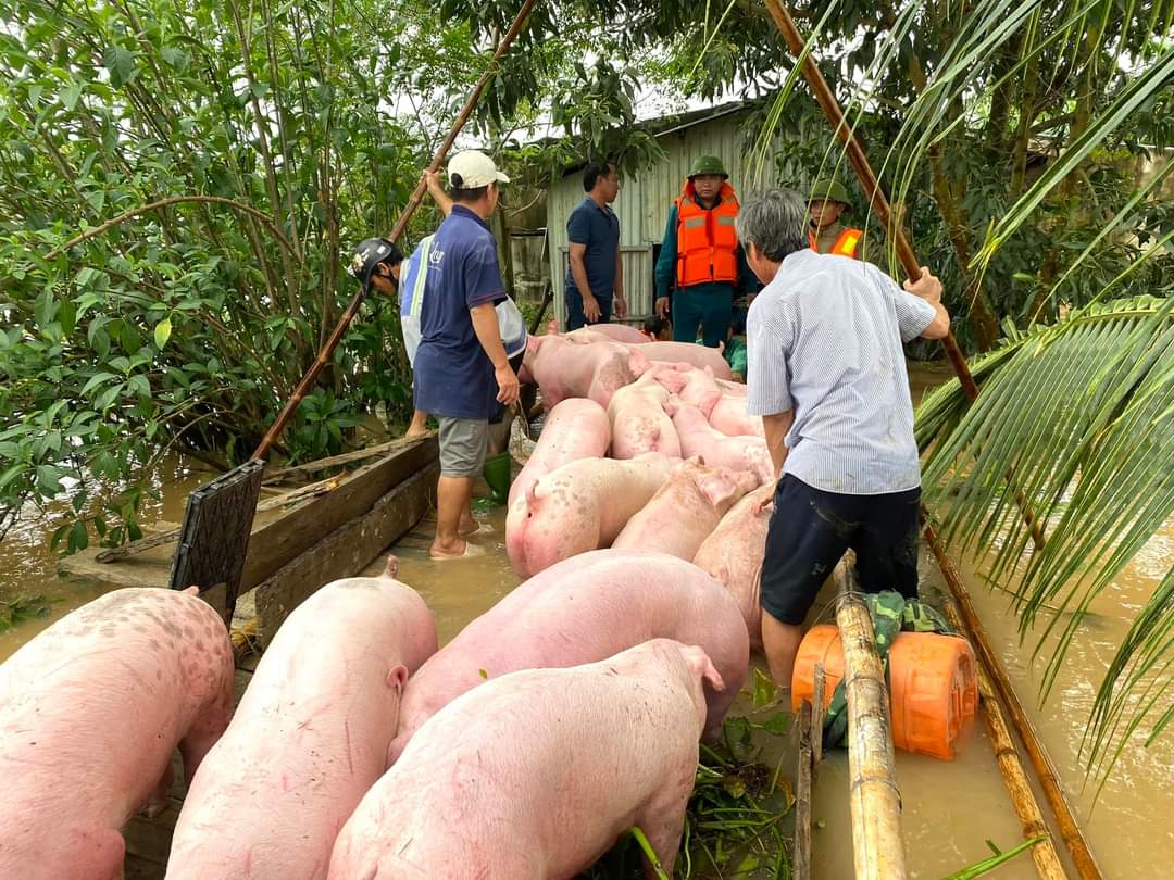 Tình người trong tâm lũ Nghệ An - Ảnh 6.