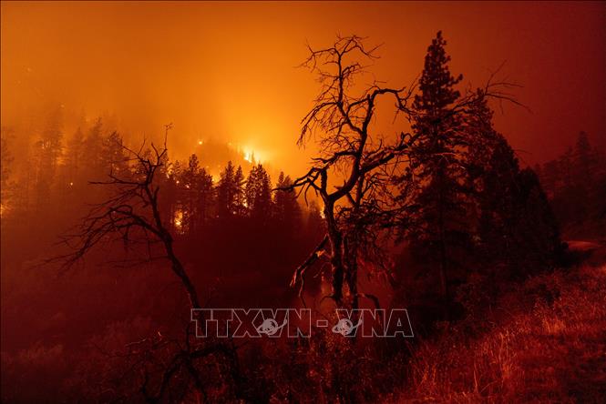 Cháy rừng tiếp tục lan rộng tại bang California của Mỹ - Ảnh 1.