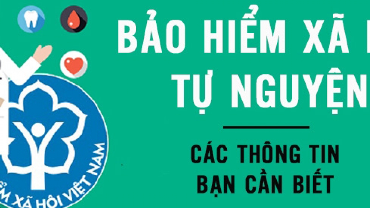 Hà Nội hỗ trợ tiền cho người tham gia bảo hiểm tự nguyện - Ảnh 1.