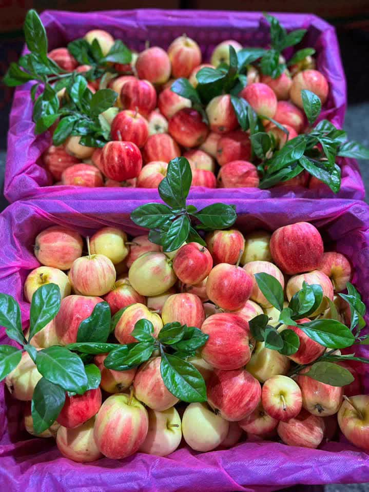Bất ngờ với loại táo cherry được rao bán trên chợ mạng, giá rẻ chỉ 9 nghìn/kg - Ảnh 2.