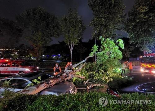 Siêu bão Hinnamnor đổ bộ Hàn Quốc, 2.000 cư dân tỉnh Nam Gyeongsang phải sơ tán - Ảnh 4.