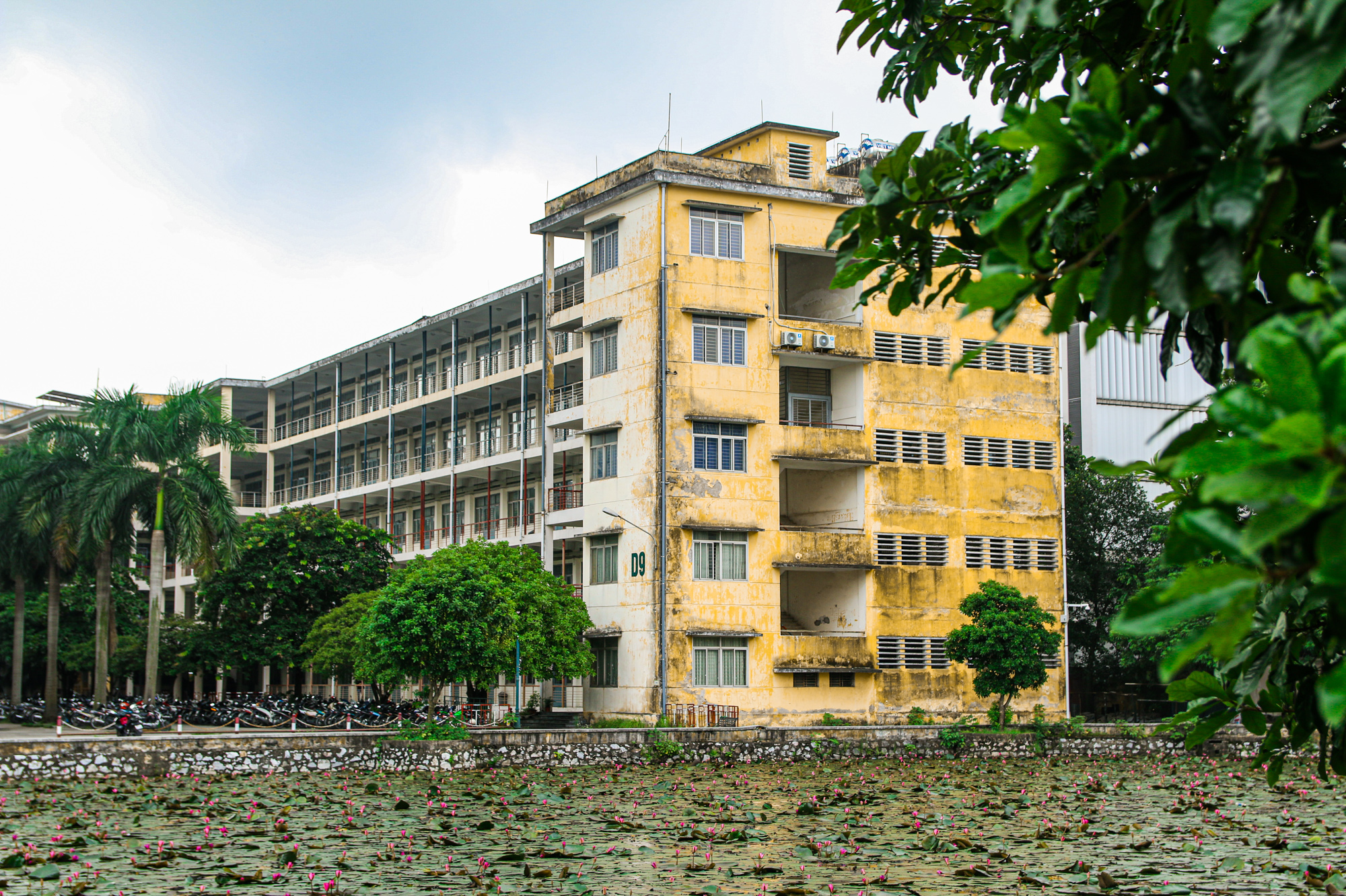 Trường đại học rộng nhất trung tâm Hà Nội, sinh viên phải tra bản đồ để tìm đường - Ảnh 6.