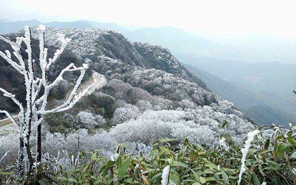 Không chỉ ở đỉnh Fansipan, Việt Nam cũng có nhiều địa điểm khác có thể &quot;săn&quot; tuyết rơi - Ảnh 8.