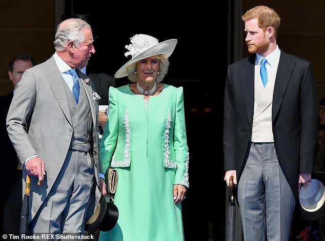 Harry quay xe trong phỏng vấn mới khiến khán giả choáng váng, thừa nhận mình rất thương Vương hậu Camilla - Ảnh 1.