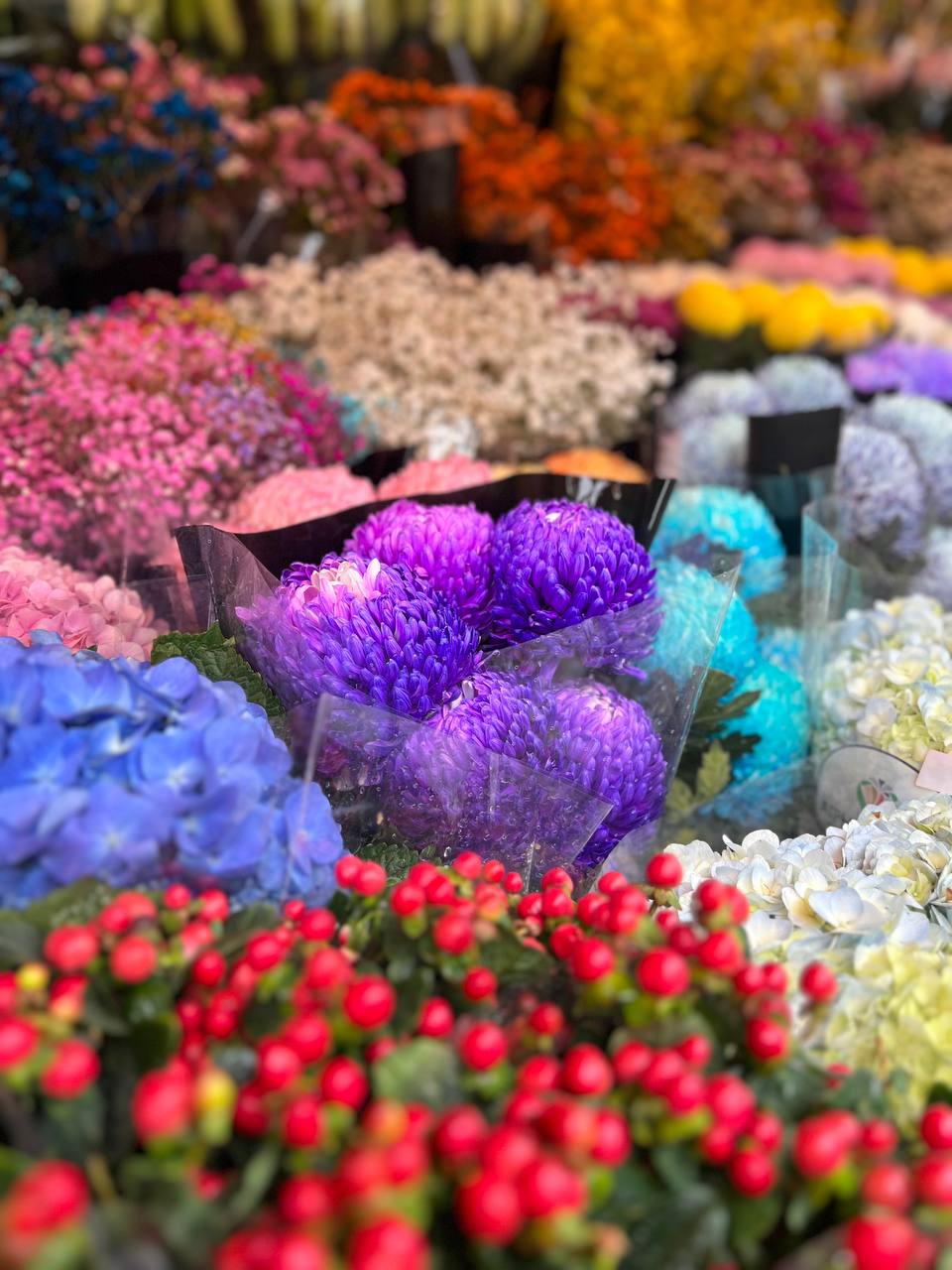 Mách bạn bí kíp mua hoa chợ Quảng Bá giá rẻ mà vẫn đẹp - Ảnh 15.