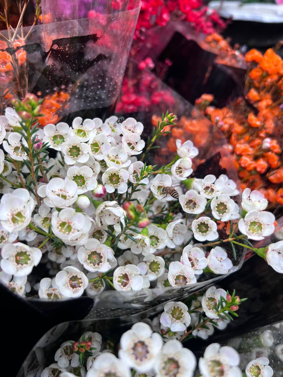 Mách bạn bí kíp mua hoa chợ Quảng Bá giá rẻ mà vẫn đẹp - Ảnh 4.