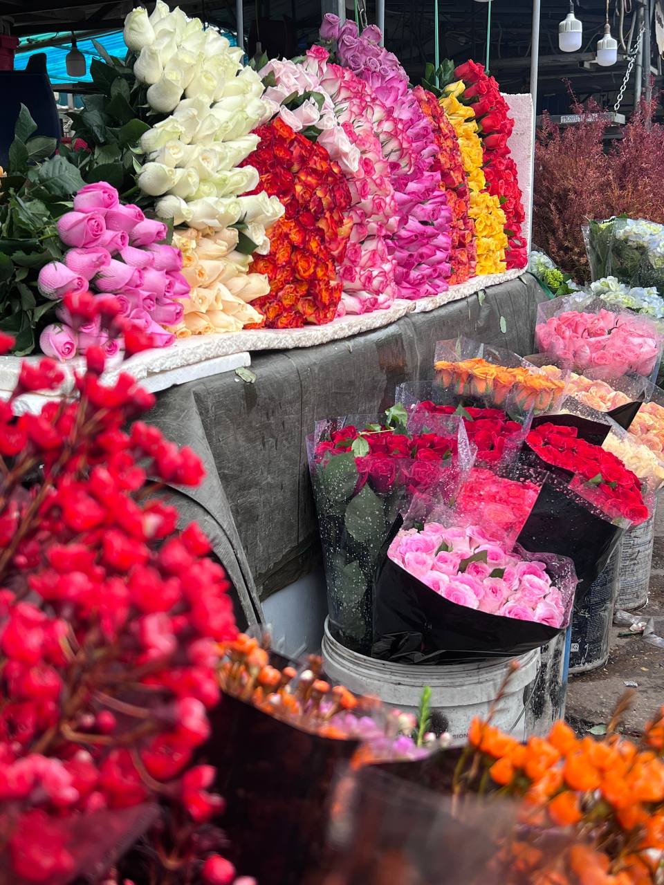 Mách bạn bí kíp mua hoa chợ Quảng Bá giá rẻ mà vẫn đẹp - Ảnh 10.