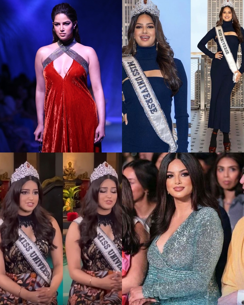 Diện mạo lạ đời của Hoa hậu Hoàn vũ 2021: Mặc xấu trường kỳ, cân nặng tăng - giảm như đồ thị hình sin - Ảnh 4.