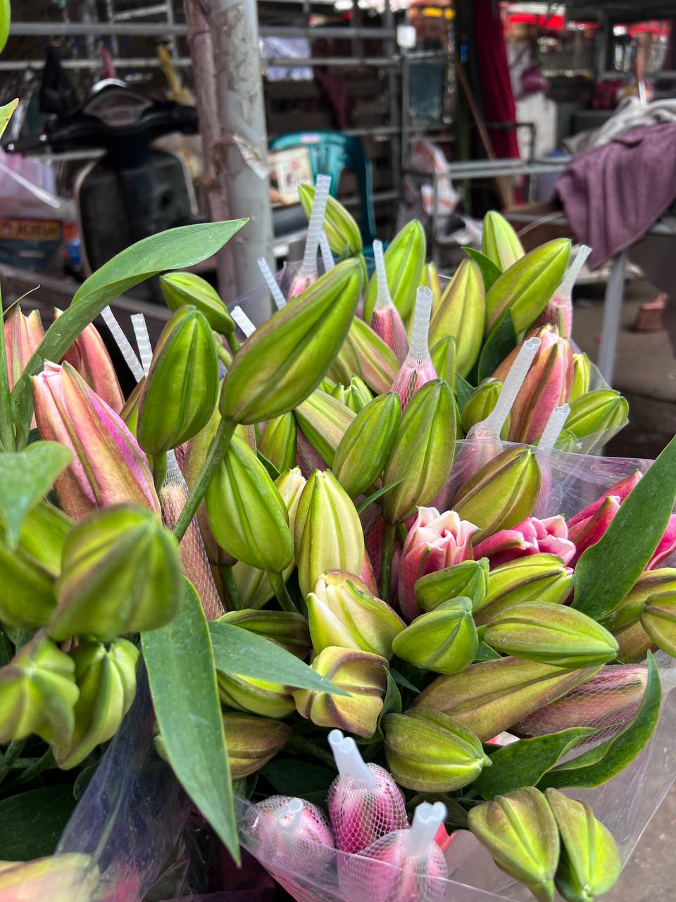 Mách bạn bí kíp mua hoa chợ Quảng Bá giá rẻ mà vẫn đẹp - Ảnh 12.