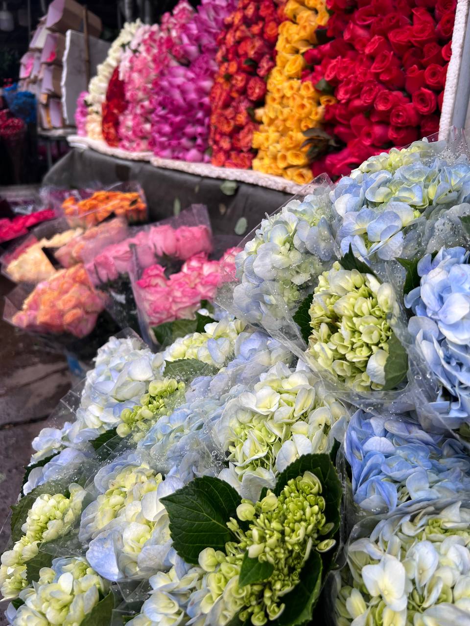 Mách bạn bí kíp mua hoa chợ Quảng Bá giá rẻ mà vẫn đẹp - Ảnh 14.