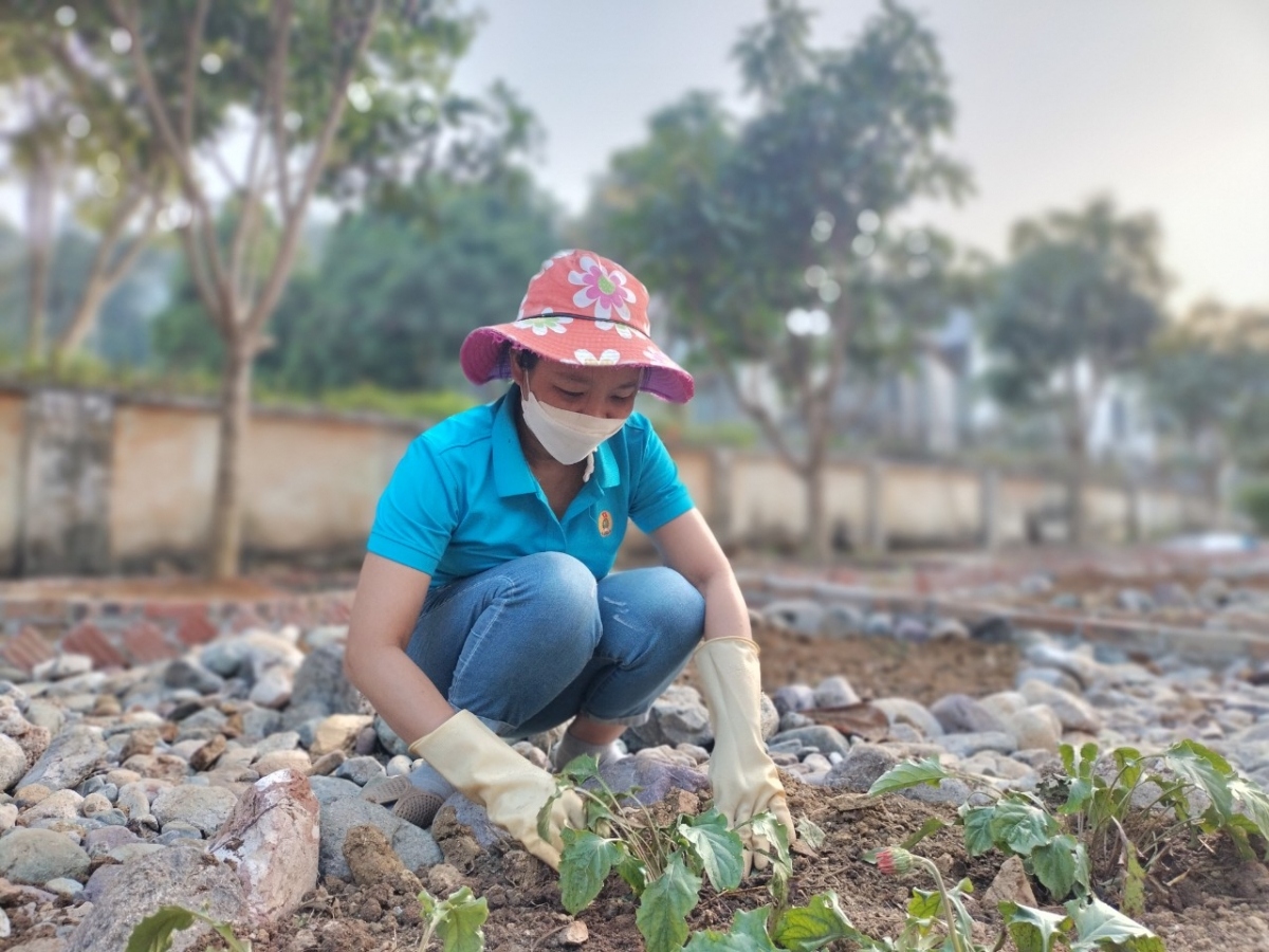 Thưởng Tết giáo viên: Nơi không có gì, nơi không đủ tiền tàu xe - Ảnh 1.