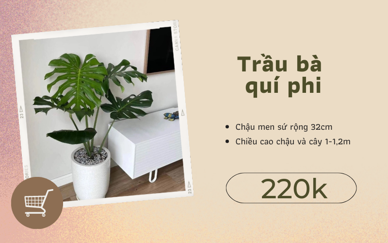 Bóc giá &quot;sương sương&quot; 6 món đồ nội thất tối giản nhưng hút mắt trong phòng khách của Diệp Lâm Anh - Ảnh 4.