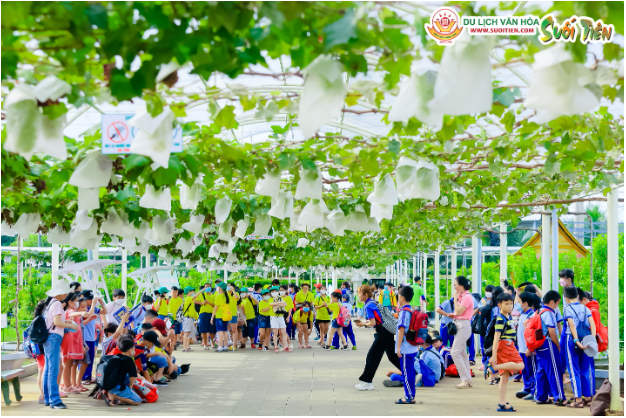 Đặc sắc hoạt động đón Xuân ở Suối Tiên - Ảnh 3. Đặc sắc hoạt động đón Xuân ở Suối Tiên - Ảnh 3.