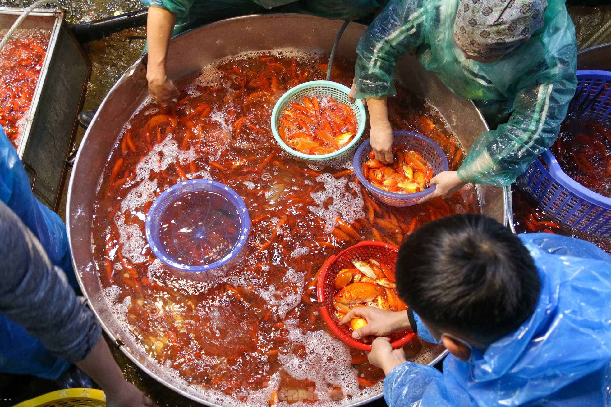 Chợ cá Yên Sở rực sắc đỏ, nhộn nhịp trước ngày cúng ông Công - ông Táo - Ảnh 4.