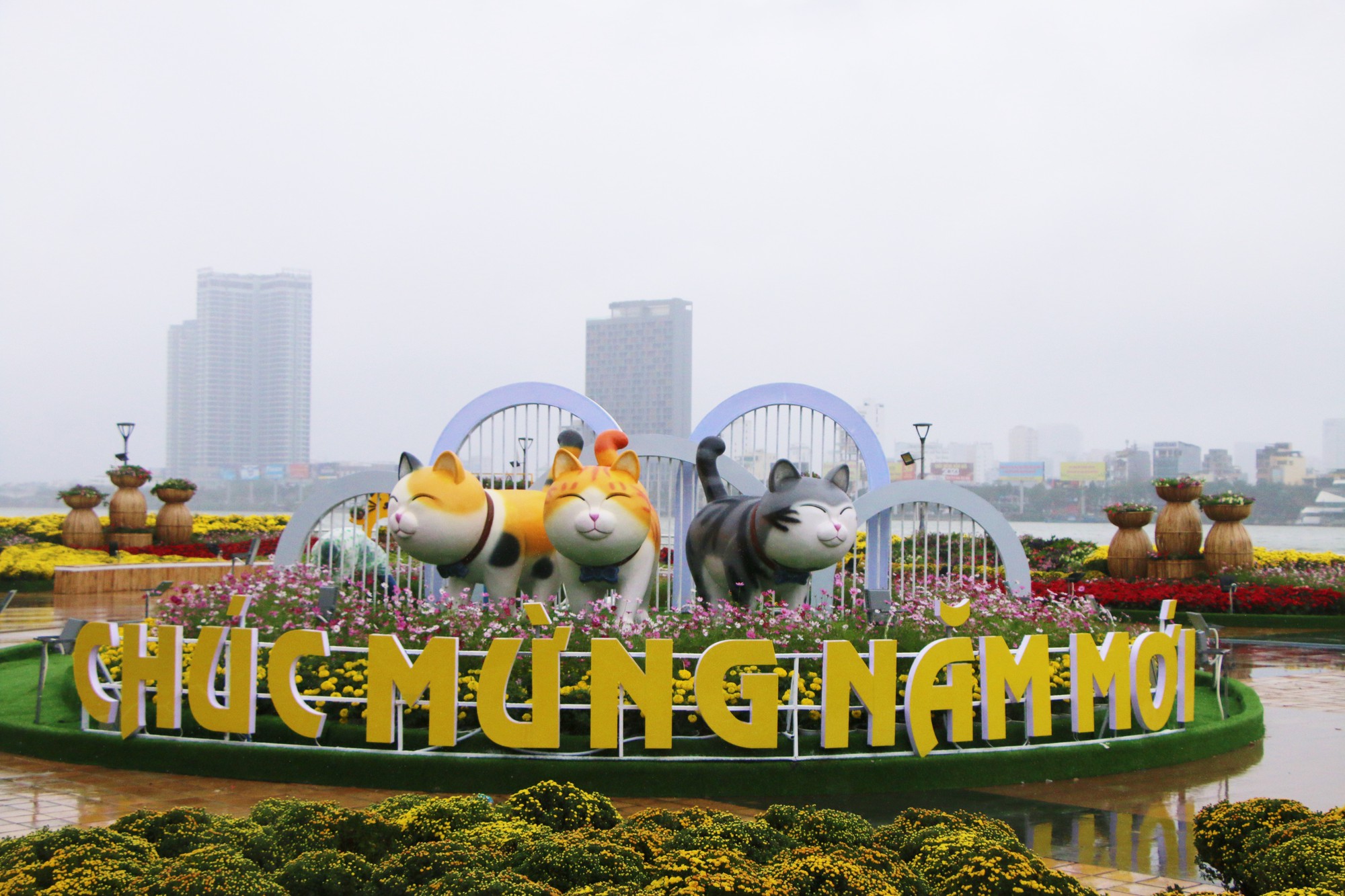 Linh vật mèo của tỉnh thành nào đẹp nhất Tết Quý Mão 2023? - Ảnh 12. Linh vật mèo của tỉnh thành nào đẹp nhất Tết Quý Mão 2023? - Ảnh 12.