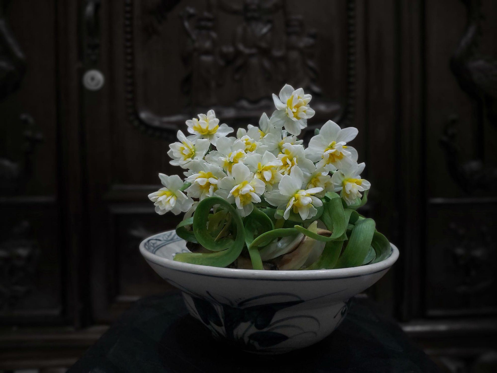 Nhìn hoa thủy tiên là thấy Tết ở Hà Nội, người đàn ông với kinh nghiệm chơi gần 30 năm tiết lộ bí quyết cho hoa nở đúng giao thừa - Ảnh 2.