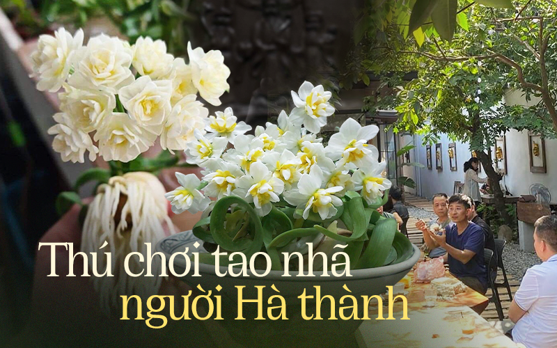 Nhìn hoa thủy tiên là thấy Tết ở Hà Nội, người đàn ông với kinh nghiệm chơi gần 30 năm tiết lộ bí quyết cho hoa nở đúng giao thừa - Ảnh 1.