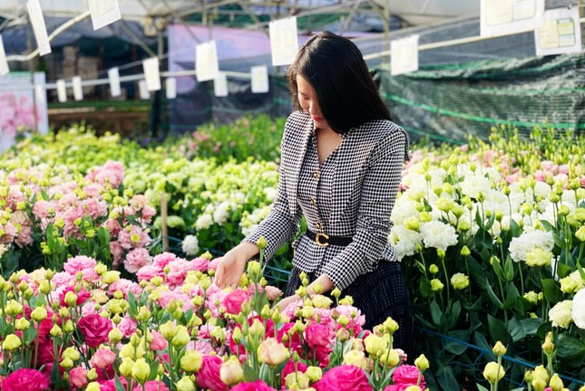 Hoa đẹp, giá không tăng ở thủ phủ Đà Lạt - Ảnh 2.