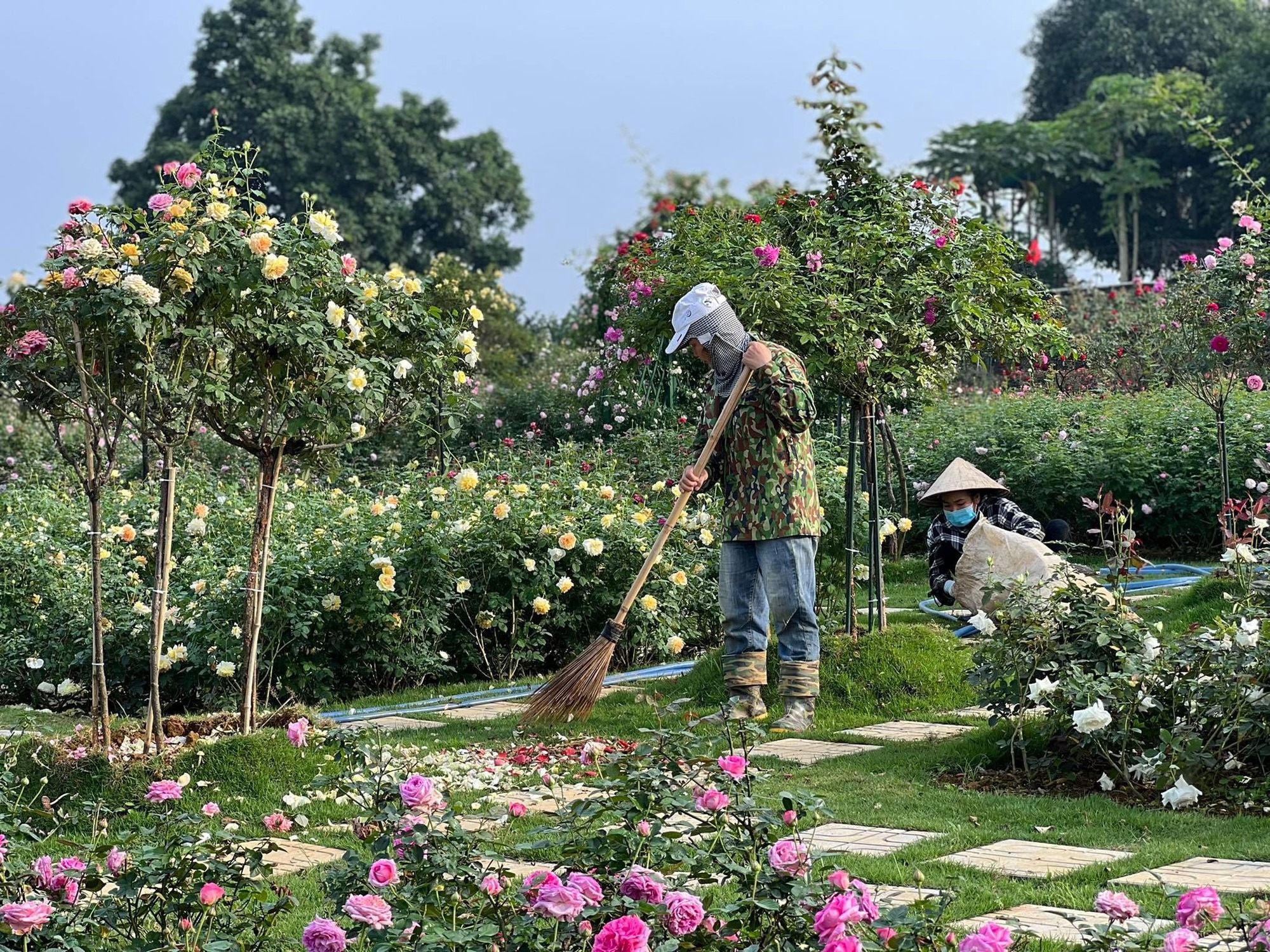 Mùng 3 Tết đến thăm vườn hồng rộng 6.000m² của người phụ nữ Hà Nội - Ảnh 5.