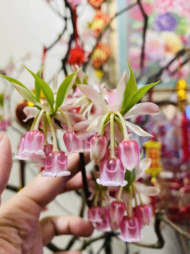 Những c&agrave;nh đ&agrave;o mới lạ đang 'sốt' chợ Tết - Ảnh 1.