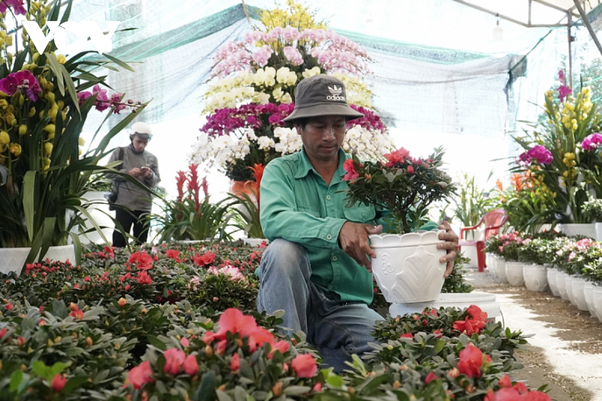 Chợ hoa Tết Đà Nẵng thưa thớt người mua - Ảnh 4.