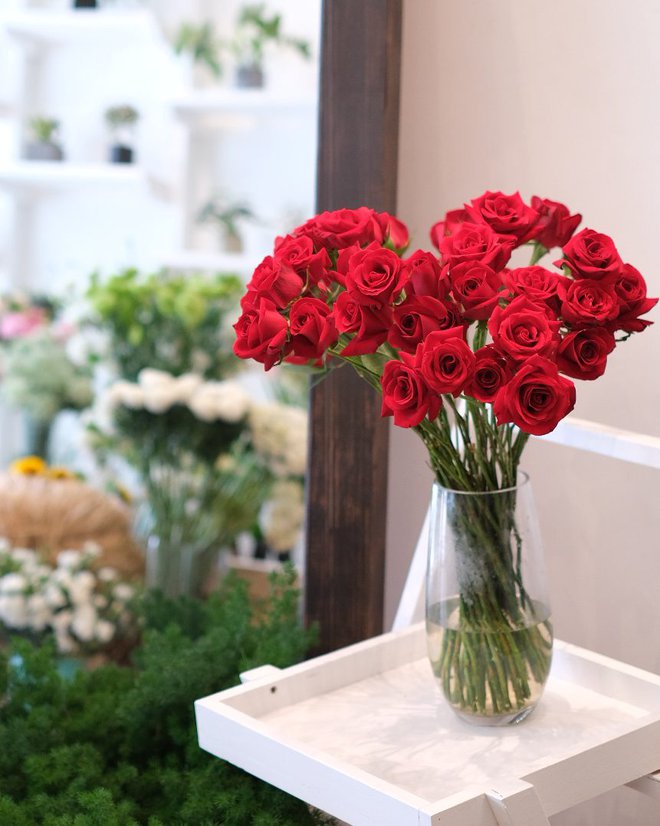 10 loài hoa được chưng Tết nhiều nhất: Không chỉ rực rỡ mà còn mang ý nghĩa phong thủy tốt đẹp - Ảnh 7. 10 loài hoa được chưng Tết nhiều nhất: Không chỉ rực rỡ mà còn mang ý nghĩa phong thủy tốt đẹp - Ảnh 7.
