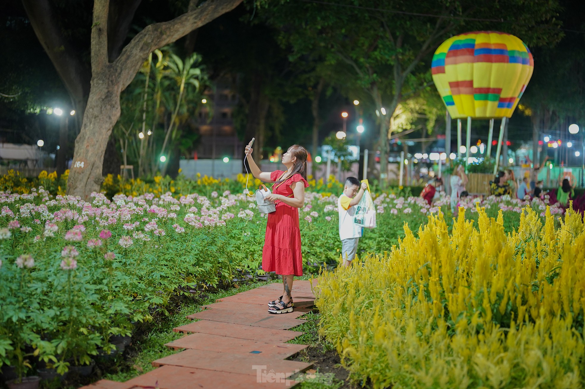 Ba khối 'Cửu Long Tranh Châu' làm từ rễ cây khô nguyên khối ở TPHCM - Ảnh 14. Ba khối 'Cửu Long Tranh Châu' làm từ rễ cây khô nguyên khối ở TPHCM - Ảnh 14.