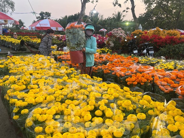 Nhộn nhịp chợ hoa Tết 'giá hạt dẻ' ở TPHCM - Ảnh 2.