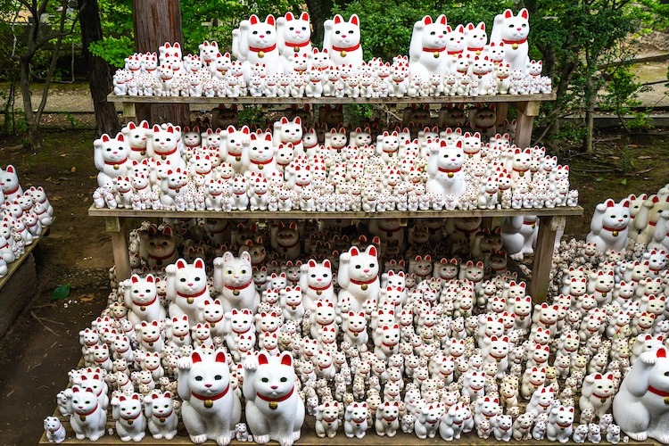 Maneki-neko: Tượng mèo may mắn nổi tiếng của Nhật Bản và câu chuyện ít người biết về nguồn gốc ra đời - Ảnh 7.