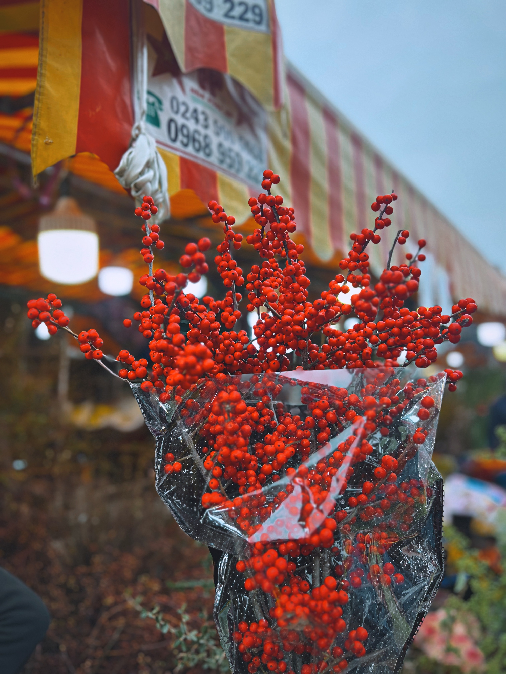 Cập nhật giá cả ở chợ hoa Tết lớn nhất Hà Nội - Ảnh 11.