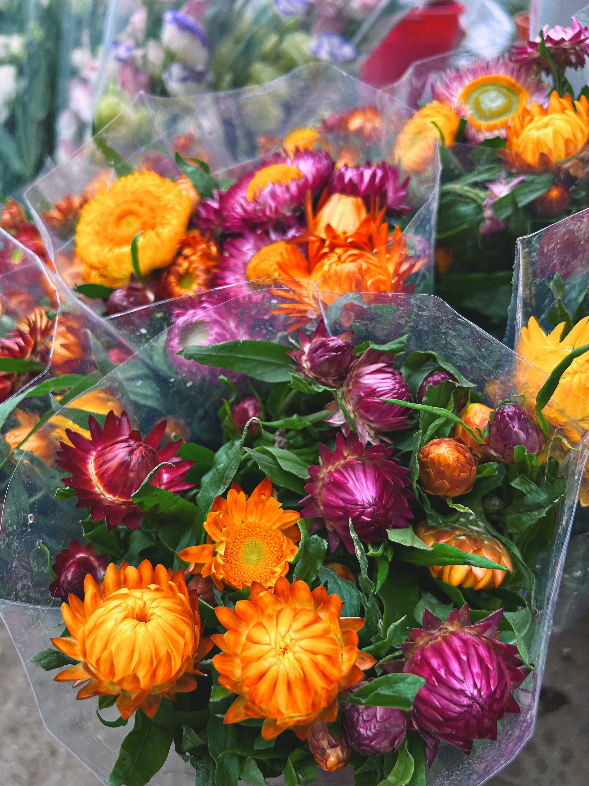 Cập nhật giá cả ở chợ hoa Tết lớn nhất Hà Nội - Ảnh 12.
