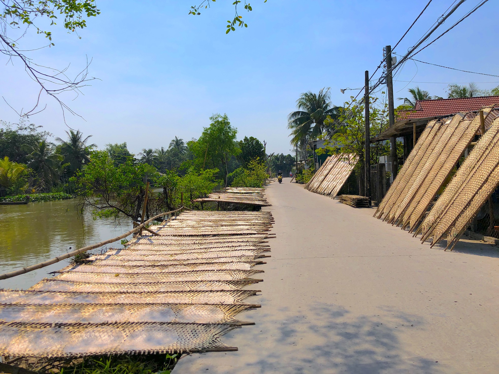 Bánh tráng miền Tây đắt như tôm tươi dịp Tết - Ảnh 2.