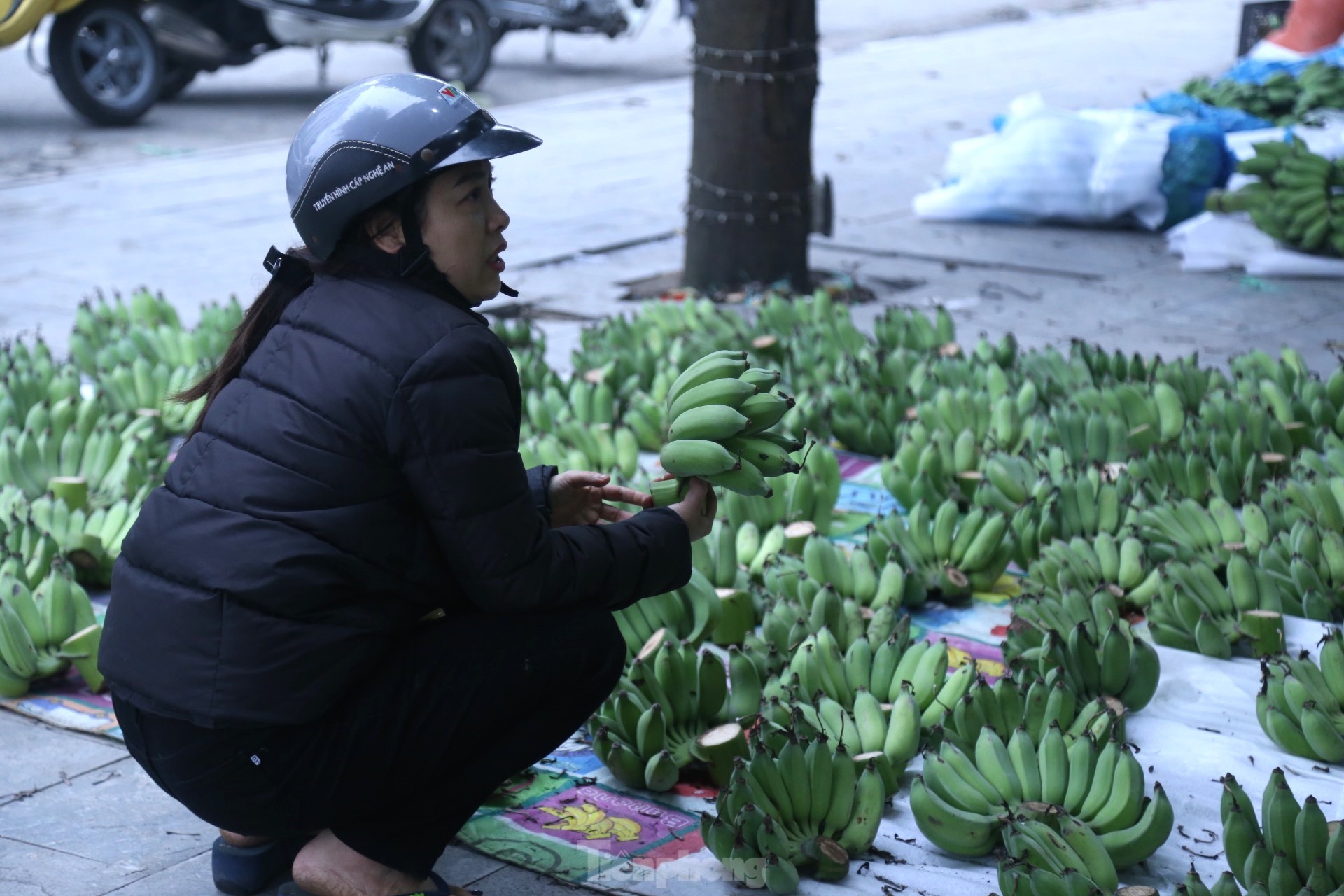 400.000 đồng/nải chuối xanh Tết, tiểu thương đếm quả lấy tiền - Ảnh 9.