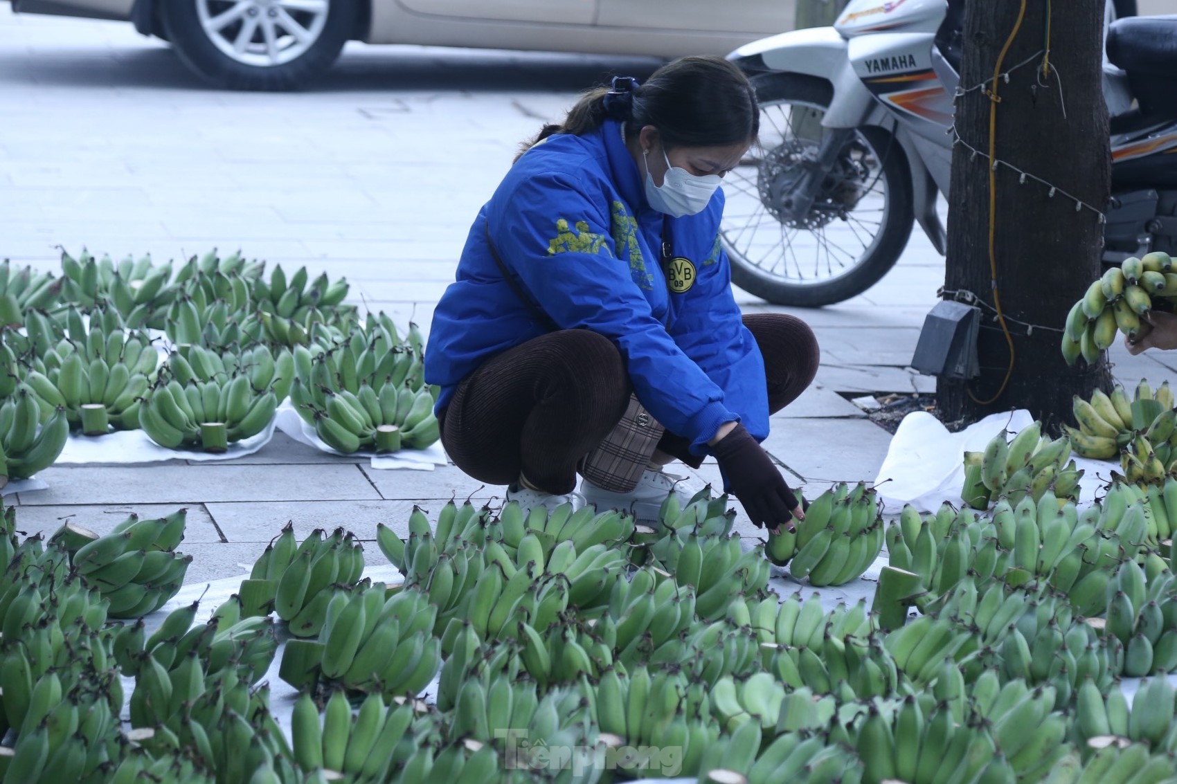 400.000 đồng/nải chuối xanh Tết, tiểu thương đếm quả lấy tiền - Ảnh 7.