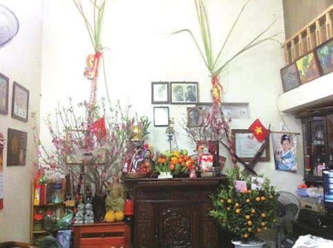 Cây mía trên ban thờ gia tiên ngày Tết và ý nghĩa trong phong tục thờ cúng của người Việt - Ảnh 1.