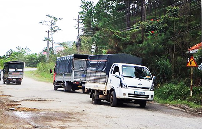 Du khách nườm nượp, Đà Lạt khuyến cáo nên lưu thông trên đèo Mimosa - Ảnh 5.